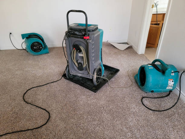 Best Commercial water damage restoration  in Gifford, FL