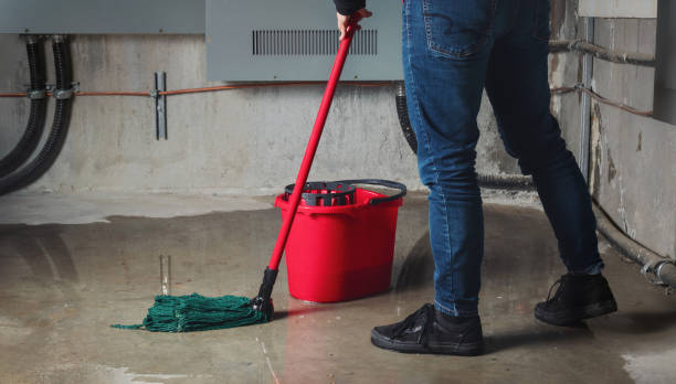 Best Flooded house restoration  in Gifford, FL