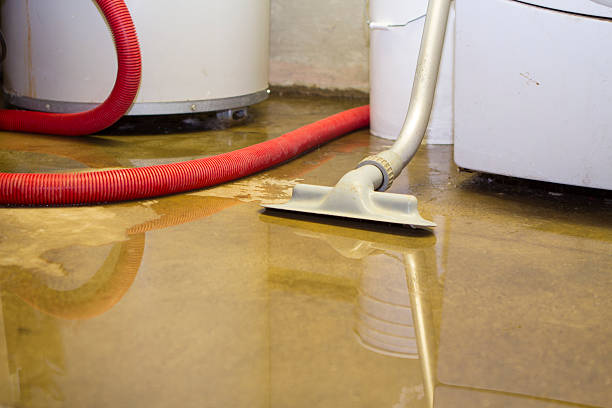 Best Ceiling water damage repair  in Gifford, FL