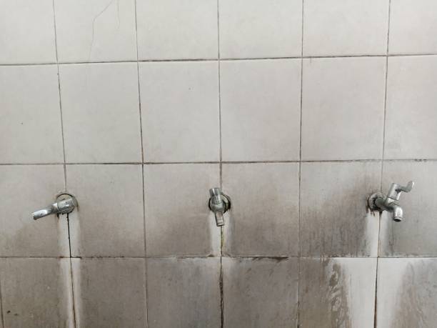 Best Professional water damage repair  in Gifford, FL